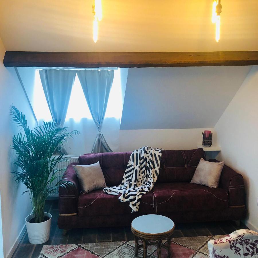 Duplex Apartment Антверпен Екстериор снимка
